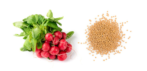 Dry yellow mustard seeds isolated on white background