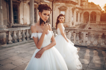 couple of two elegant bride fashion model posing in luxury wedding dress, castle