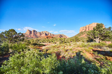 Sedona Red Rock Formations, Lush Desert Vegetation, Clear Blue Sky
