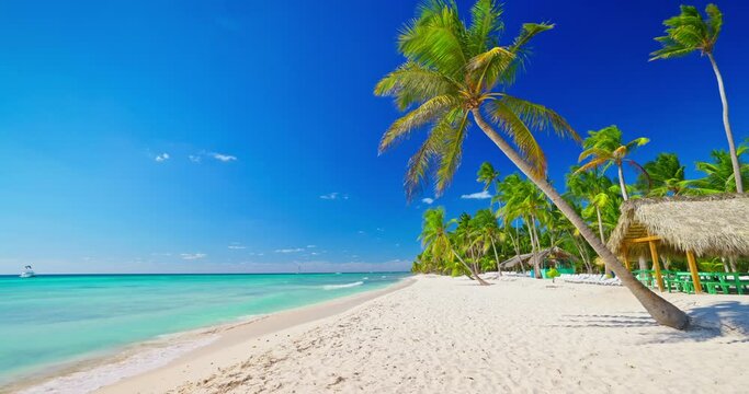 Dominican Republic, wild beach shore of Saona island and caribbean sea, tropical seascape, exotic destination for holiday vacation