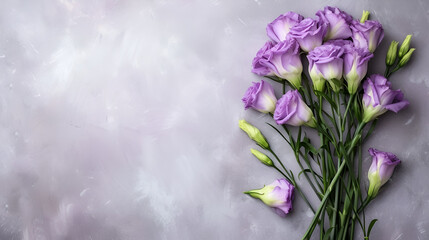 Obraz premium banner or card for March 8th purple lisianthus closeup with free space and place for text on gray background