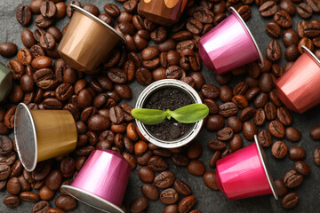 Coffee capsules with seedling and beans on black table, flat lay