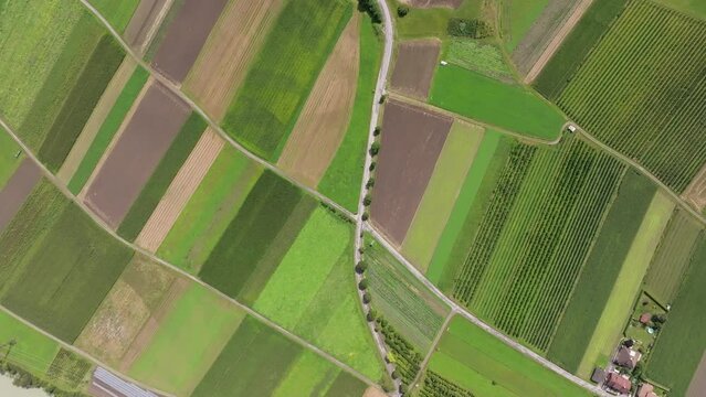 Drone top-down view over vibrant agricultural patches offers a stunning patchwork quilt of the Austrian countryside - beautiful nature patterns