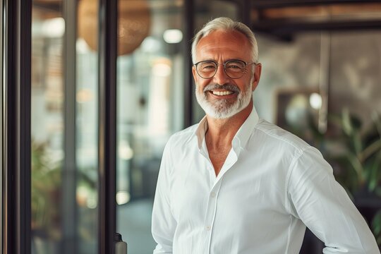Successful senior businessman Modern office portrait. smiling professional Positive corporate image