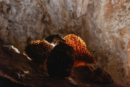 Unique calcite formations in Jewel Cave National Monument called "nailhead spar" that cover the cave in a jewel-like texture