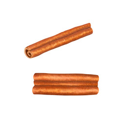 Set of watercolor dried cinnamon sticks isolated on transparent background. Ingredients for drinks and baking. Hand painted illustration. For packaging, menus, cards, printing, invitations