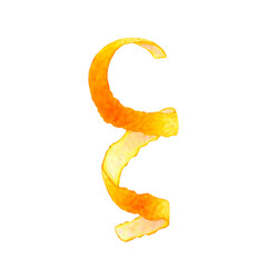 Watercolor spiral of orange peel. Citrus zest isolated on transparent background. Botanical illustration of hand painted tropical fruits. For packaging, menus, cards, printing, invitations