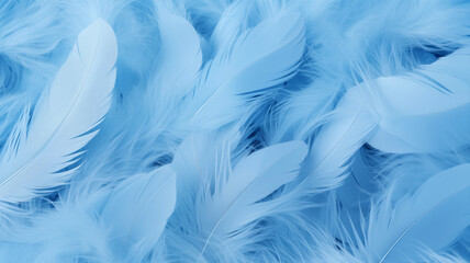 Fototapeta na wymiar feather background in baby blue color; perfect for baby announcements; 