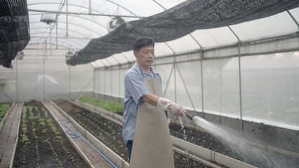 Asian farmers water their crops.