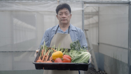 Asian farmers water their crops.