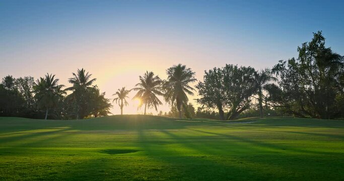 Golf course landscape on a sunny morning, caribbean nature at sunrise, golf outdoors video. Punta Cana, Dominican Republic