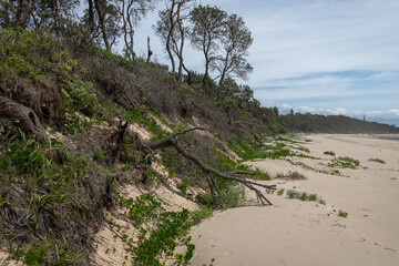 Erosion of Coastal Sand Dunes and Banks Due to Climate Change and Increased Water Levels