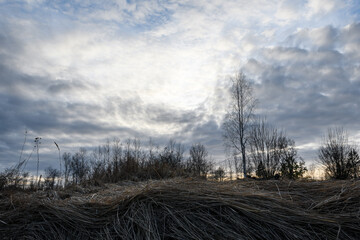 Beautiful cloudy sky before sunset over a wooded area, spring evening. In the foreground is last...