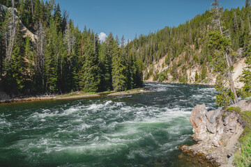 Fototapeta premium The Yellowstone River flowing past the Lower Falls observation point, in Yellowstone National Park