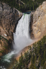 View of the Upper Falls of the Yellowstone River, in Yellowstone National Park
