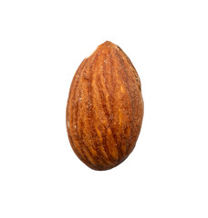 one almond on a transparent background 