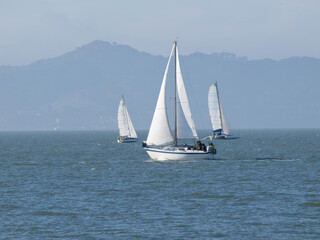 Three Sailboats Sailing On San Francisco Bay