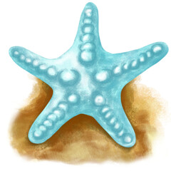 starfish isolated on white background