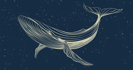 Dark blue art background with hand drawn whale in white line art style. Animalistic banner for decoration, print, textiles, wallpaper, interior design.