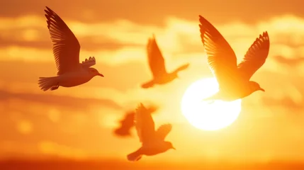 Foto op Plexiglas With the sunset behind them a family of birds flies in formation their backlit wings a symbol of their unity and strength. © Justlight