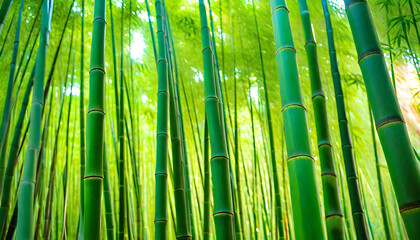 Bamboo Forest. Nature. Greenery. Zen. Tranquil. Asian. Scenic. Flora. Tropical. Wilderness. Bamboo Grove. Lush. Natural. Serene. Botanical. AI Generated.