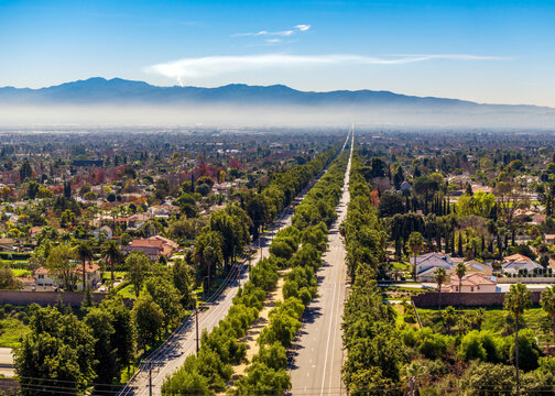 Tree lined Euclid Avenue stretching toward the San Gabriel Mountains in Upland