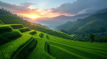 Tuinposter rice field curve terraces at sunrise time, natural background of nature, rice field at sunset hour © Fokke Baarssen
