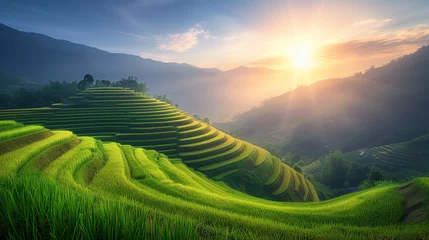 Foto op Plexiglas rice field curve terraces at sunrise time, natural background of nature, rice field at sunrise © Fokke Baarssen