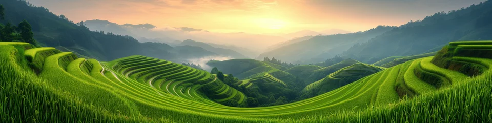 Fotobehang rice field curve terraces at sunrise time, natural background of nature, rice pady field at sunset © Fokke Baarssen