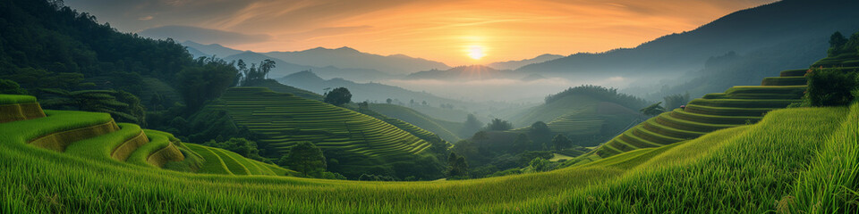 rice field curve terraces at sunrise time, the natural background of nature Asia, rice paddy field in the mountain with fog at sunrise