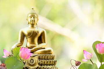 Buddha statue and lotus flowers on natural background.