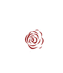 abstract line rose flower logo, can be used for beauty business logos, natural designs, abstract flowers and product logos