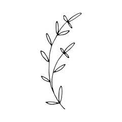 simple leaf illustration