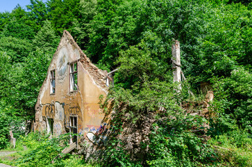 Ruined house with graffities on swallowed by forest