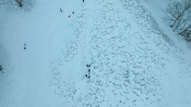 Family pulls sleds up along hill path to snow covered slope on forest edge, aerial