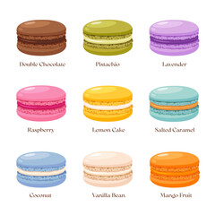 Macarons dessert with different flavors