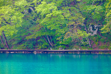 Emerald in Nature: Green Water in Plitvice Lakes National Park