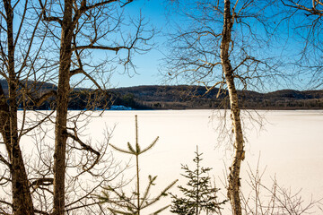 Tranquility: a lake in winter covered with ice and snow with hardwood forest and blue sky shot arrowhead provincial park Ontario room for text