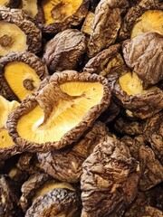 dried mushrooms