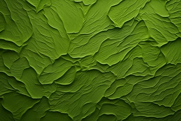 Tableaux sur verre Herbe green leaf texture