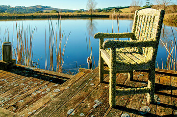 Australian country landscape. Old wooden chair with green moss, on deck beside blue lake with reeds. No people.