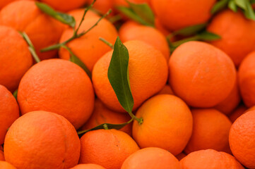 juicy fresh tangerines in boxes for sale in Cyprus in winter 5