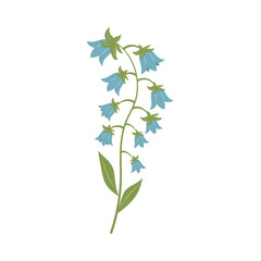 Blue bluebell flowers. Twig of bells. Vector illustration isolated on white background.