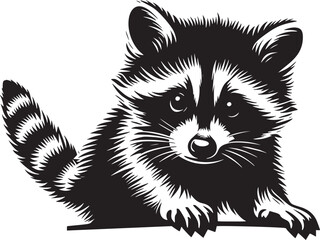 Peekaboo Raccoon © dinil