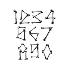 bones numbers hand drawing vector isolated on background.