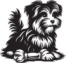 Playful Pup in Monochrome