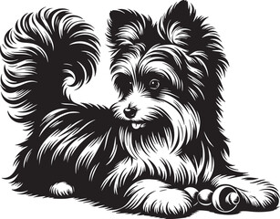 Playful Pup in Monochrome