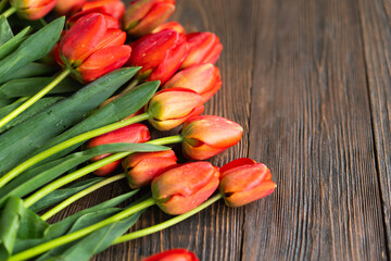 Fresh orange tulips on a wooden background. Springtime. Greeting card with copy space for Valentine's Day, Woman's Day and Mother's Day.