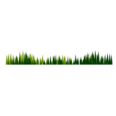 Obraz premium Garden bush illustration 