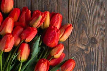 Fresh orange tulips on a wooden background. Springtime. Greeting card with copy space for...
